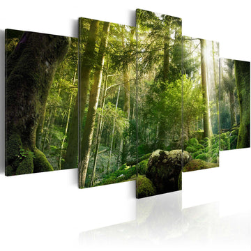 Canvas Print - The Beauty of the Forest