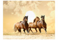 Wallpaper - Running horses