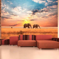 Wallpaper - African savanna elephants