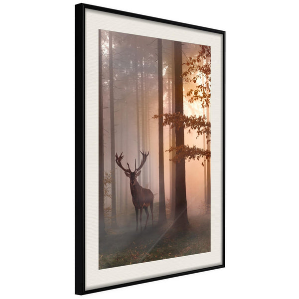 Poster - Forest Seclusion