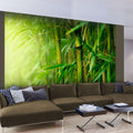Wallpaper - jungle - bamboo