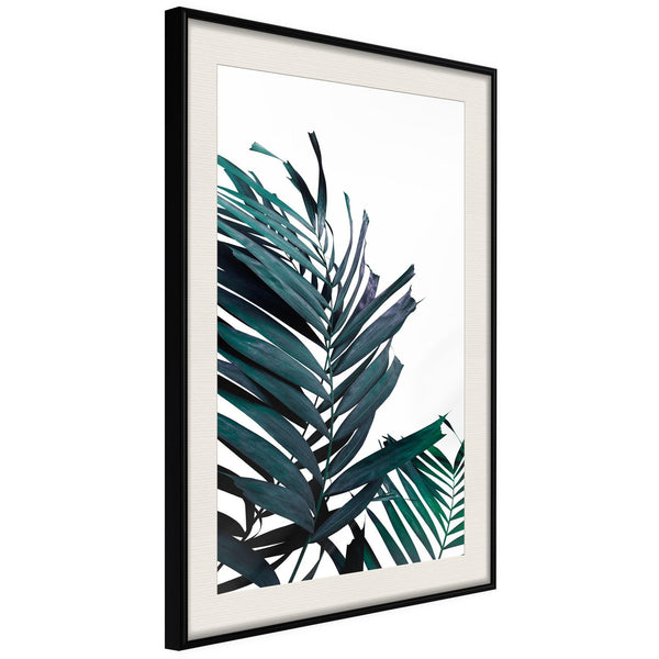 Poster - Evergreen Palm Leaves