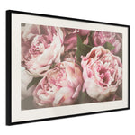 Poster - Pastel Peonies