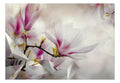 Wallpaper - Subtle Magnolias - Third Variant