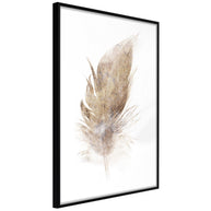 Poster - Lost Feather (Beige)