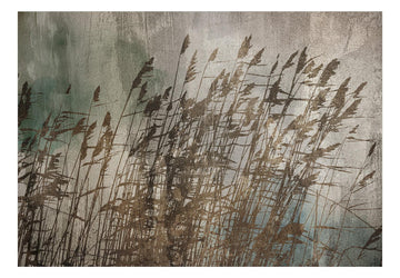 Wallpaper - Water Grasses