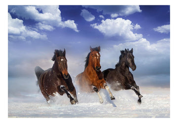 Wallpaper - Horses in the Snow