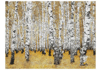 Wallpaper - Autumnal birch forest