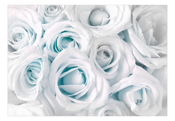 Self-adhesive Wallpaper - Satin Rose (Turquoise)
