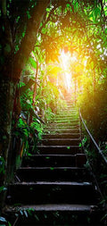 Photo wallpaper on the door - Photo wallpaper - Stairs in the urban jungle I