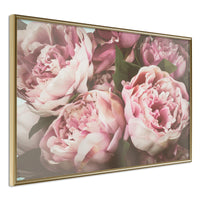 Poster - Pastel Peonies