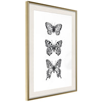 Poster - Butterfly Collection III