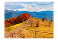 Wallpaper - Autumn landscape in the Carpathian mountains