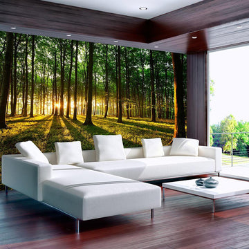 Self-adhesive Wallpaper - Spring: Morning in the Forest