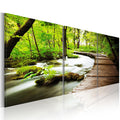 Canvas Print - Forest Brook