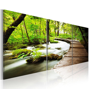 Canvas Print - Forest Brook