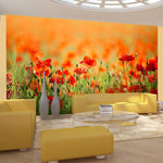 Wallpaper - Poppies in shiny summer day