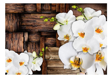 Wallpaper - Blooming orchids