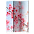 Room Divider - Symbol of Japan - sakura flowers [Room Dividers]