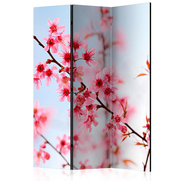 Room Divider - Symbol of Japan - sakura flowers [Room Dividers]