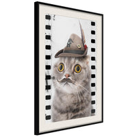 Poster - Dressed Up Cat