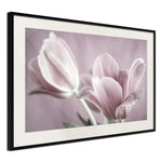 Poster - Pastel Tulips I