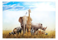 Wallpaper - Fauna of Africa