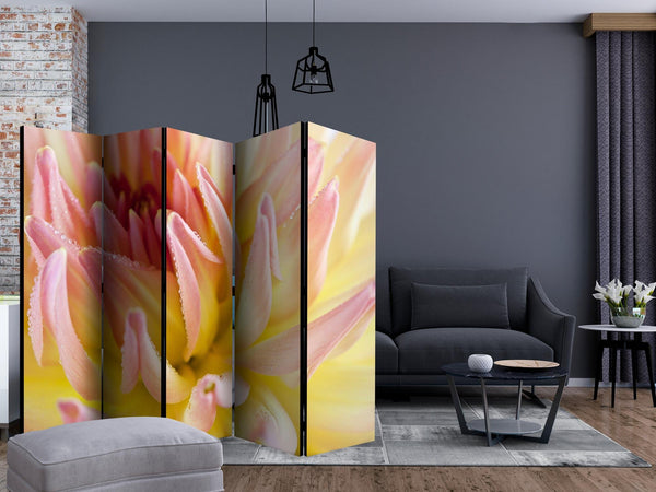 Room Divider - Pastel colored dahlia flower with dew drops II [Room Dividers]