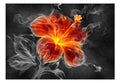 Wallpaper - Fiery flower inside the smoke