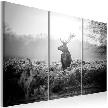 Canvas Print - Black and White Deer I