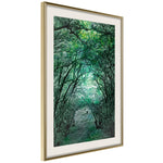 Poster - Tree Tunnel