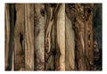 Wallpaper - Olive Wood