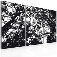 Canvas Print - Dense forest