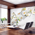 Wallpaper - The Urban Orchid