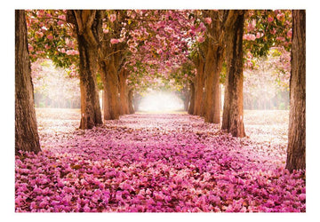 Wallpaper - Pink grove