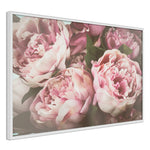 Poster - Pastel Peonies