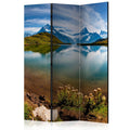 Room Divider - Lake with mountain reflection, Switzerland [Room Dividers]