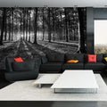 Self-adhesive Wallpaper - The Light in the Forest