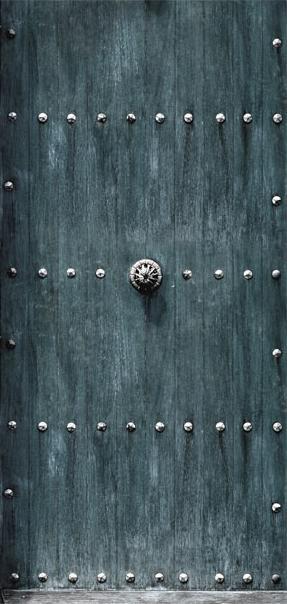 Photo wallpaper on the door - Stylish Door