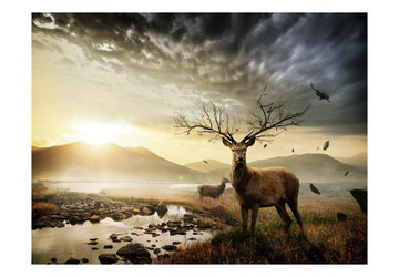 Wallpaper - Deers by mountain stream