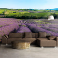 Wallpaper - Lavender fields