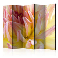 Room Divider - Pastel colored dahlia flower with dew drops II [Room Dividers]