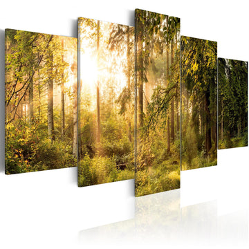 Canvas Print - Magic of Forest