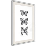 Poster - Butterfly Collection III