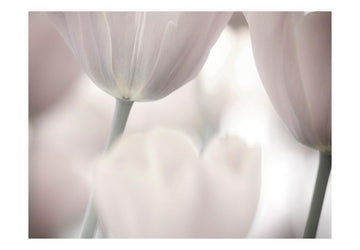 Wallpaper - Tulips fine art - black and white