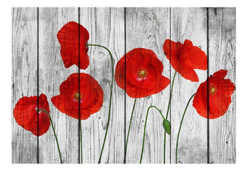 Wallpaper - Tale of Red Poppies