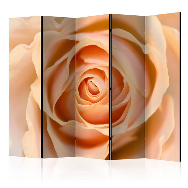 Room Divider - Peach-colored rose II [Room Dividers]