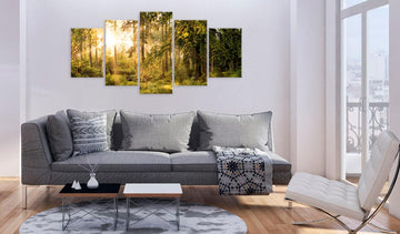 Canvas Print - Magic of Forest