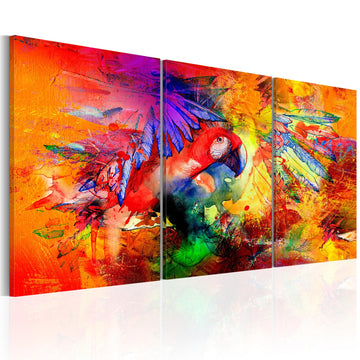 Canvas Print - Colourful Parrot