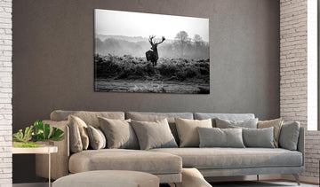 Canvas Print - Deer in the Wild